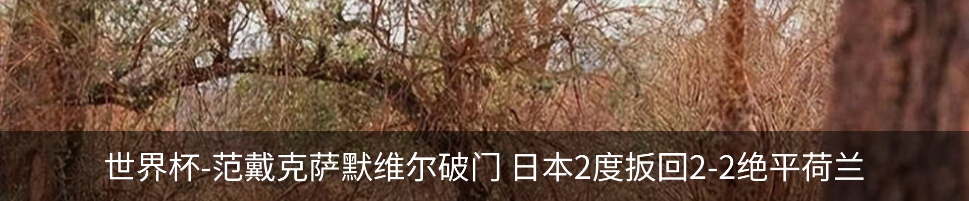 新闻中心